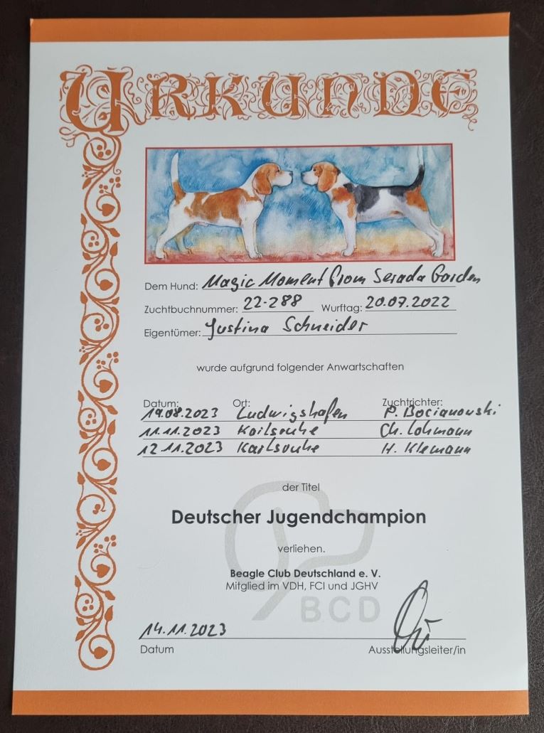 URKUNDE BCD JUGENd